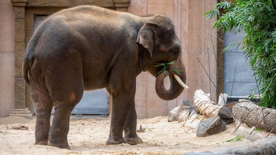 fot. Paweł Łacheta