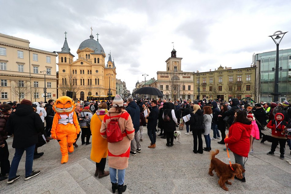 Parada Kundelków w Łodzi
