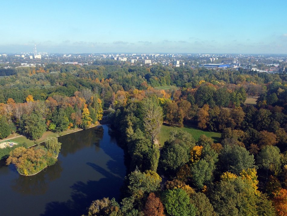 Złota polska jesień w parku na Zdrowiu