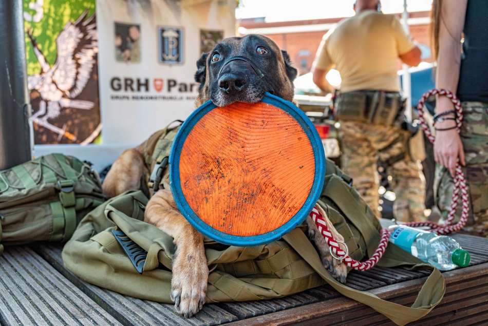 Piknik weterana w Manufakturze