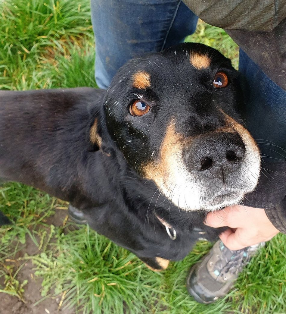 Притулок в Лодзі - Доріан