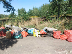 Firmy z Łodzi wzięły udział w wielkim sprzątaniu miasta