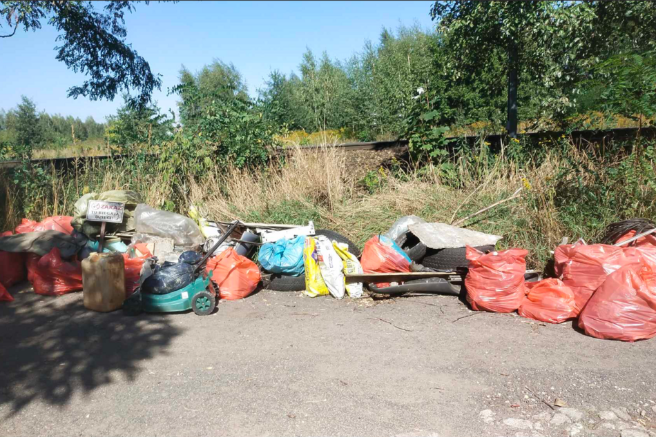 Firmy z Łodzi wzięły udział w wielkim sprzątaniu miasta