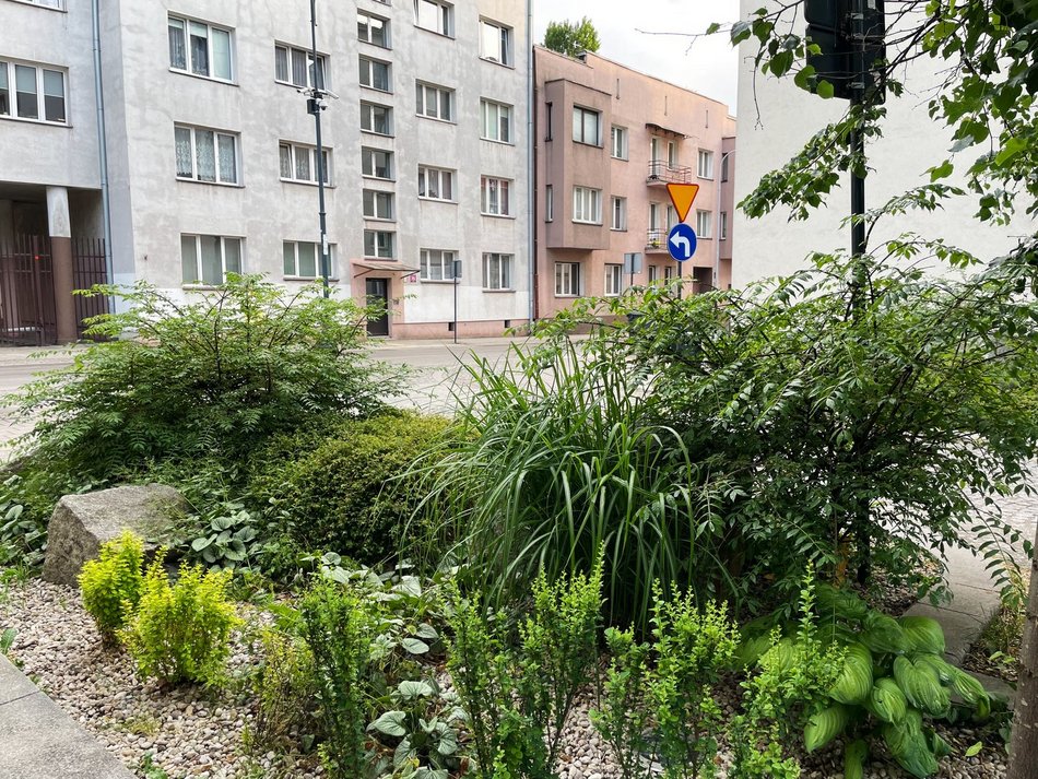 Ulica Zacisze - klomb