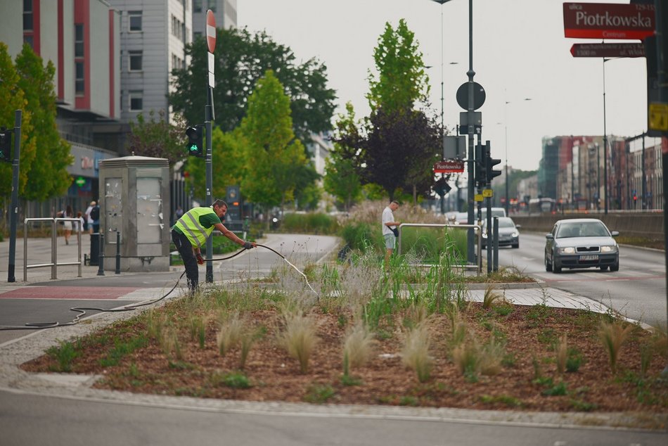 Plac przy kawiarni Starbucks w centrum Łodzi odżywa! Tyle tam zieleni!