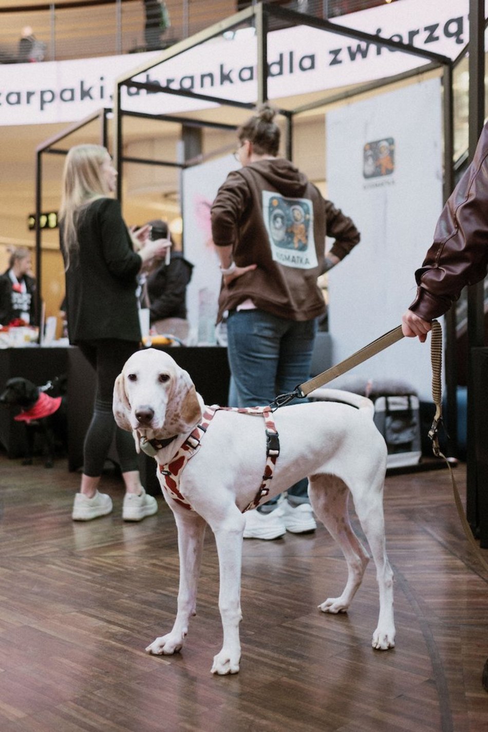 Łódź. Psi Targ w Manufakturze