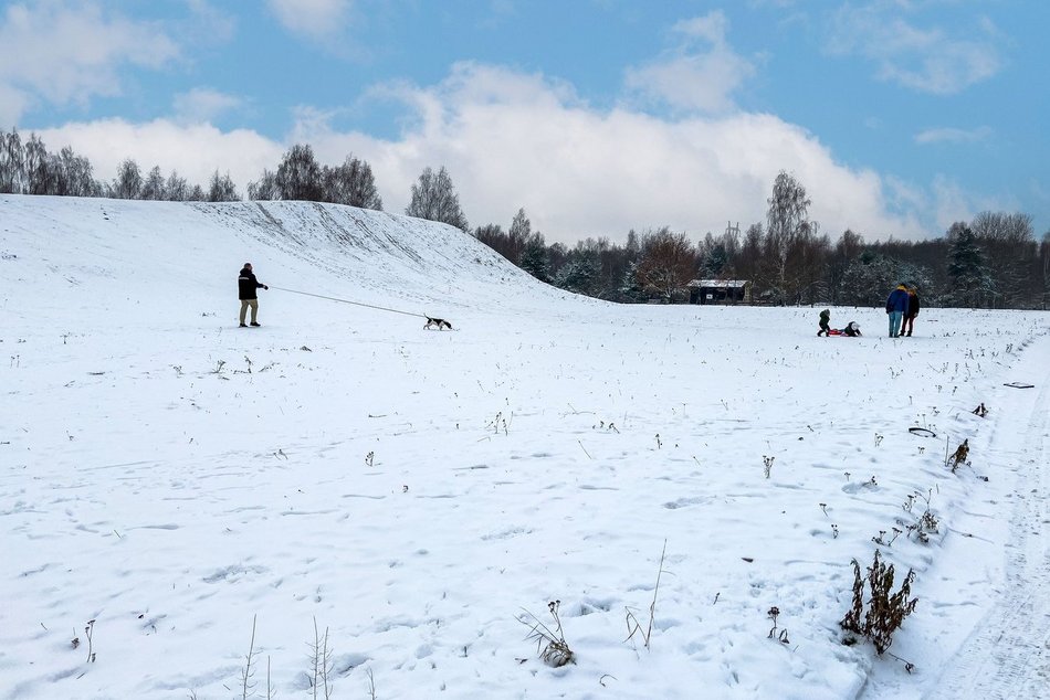 Łódź. Gdzie na sanki
