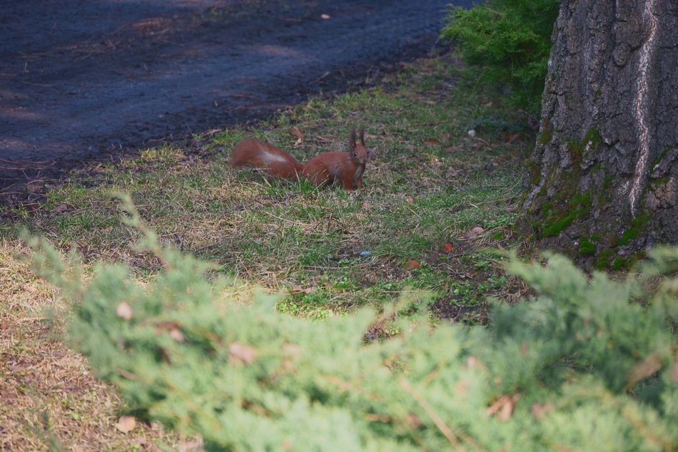 Łódź. Ogród Botaniczny w Łodzi