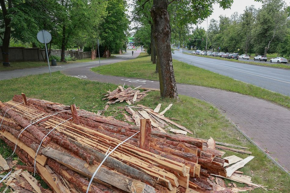 Łódź. Remont drogi rowerowej na alei Palki w Łodzi. Podróż do Lasu Łagiewnickiego będzie przyjemnością!