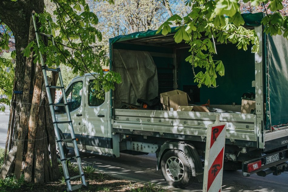 Łódź. Łódź ratuje kasztanowce. Aż 1000 pułapek na szrotówka na ulicach miasta