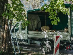 Łódź. Łódź ratuje kasztanowce. Aż 1000 pułapek na szrotówka na ulicach miasta