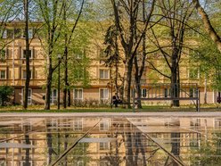 Park Staromiejski w Łodzi - wiosna, zieleń