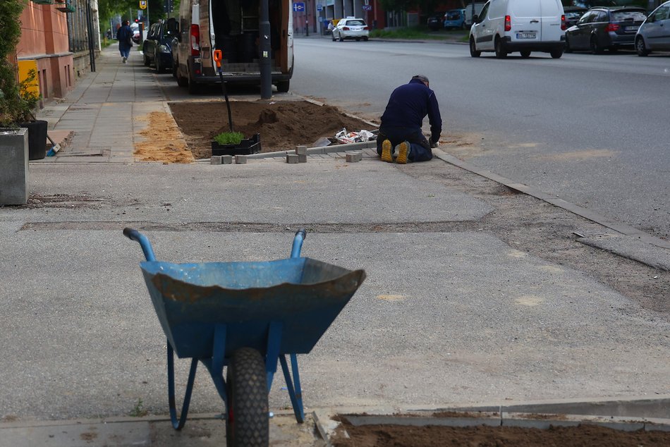Łódź. Więcej zieleni w centrum! Zamiast betonu będą kolorowe byliny, krzewy i piękne rabaty