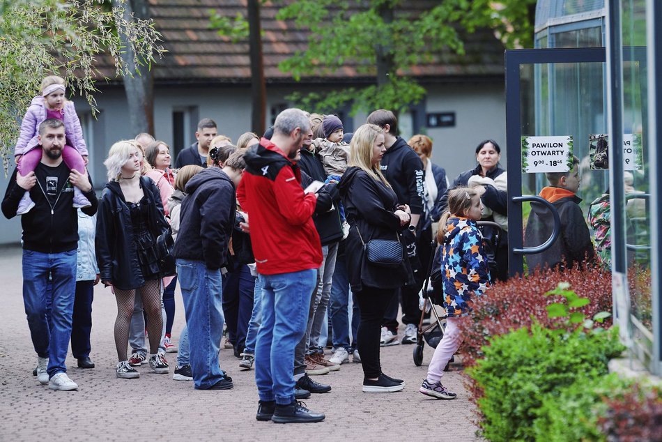 Noc Muzeów Łódź 2026 w Orientarium Zoo Łódź
