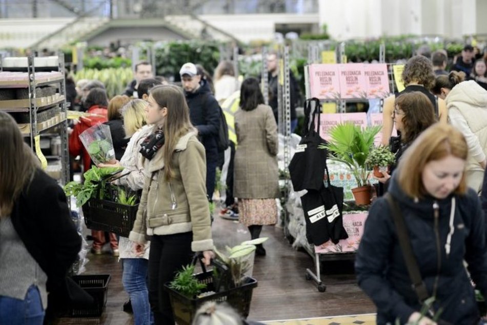Festiwal Roślin w EC1 Łódź. Zobacz, jakie okazy możesz tu upolować. Jeszcze zdążysz!