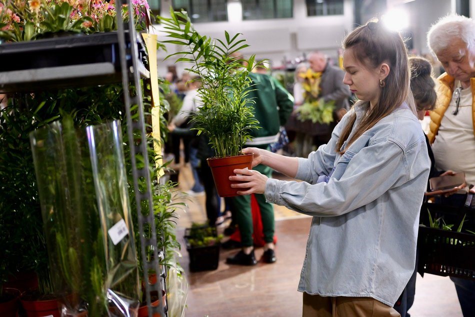 Łódź. Przyjdź na Festiwal Roślin w EC1 Łódź! Nowe gatunki, okazy kolekcjonerskie i więcej