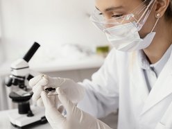 Łódź. Oferty letnich praktyk i staży dla studentów w Łodzi. Start kariery na wyciągnięcie ręki