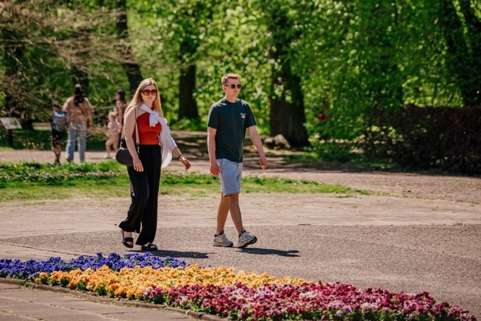 Łódź. Ogród Botaniczny w Łodzi w wiosennej odsłonie