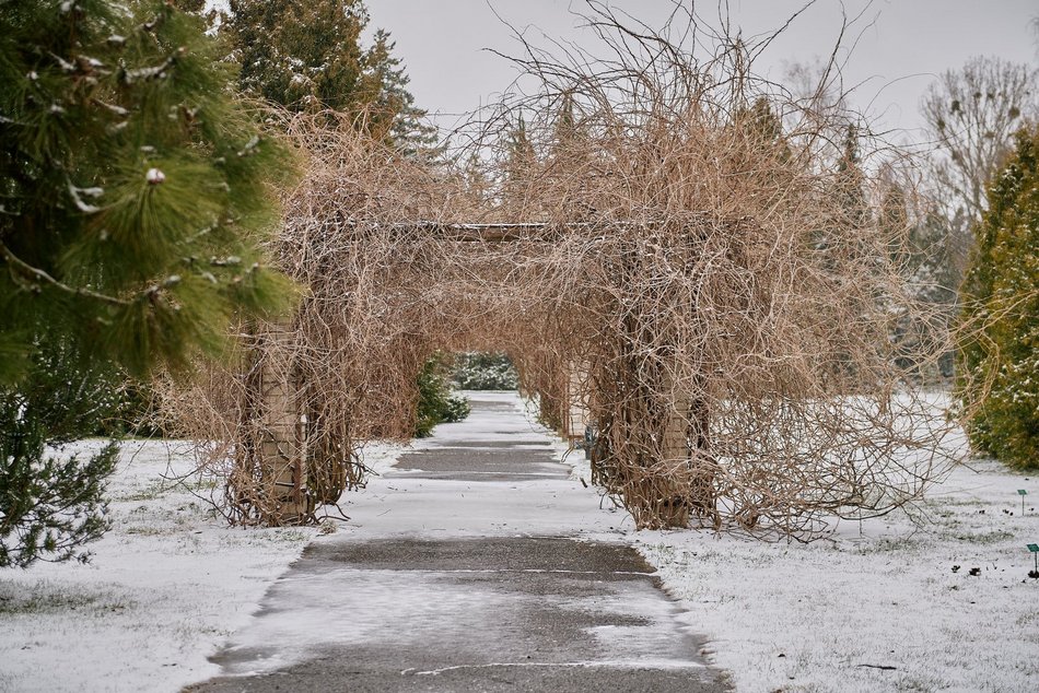 Łódź. Ogród Botaniczny w Łodzi