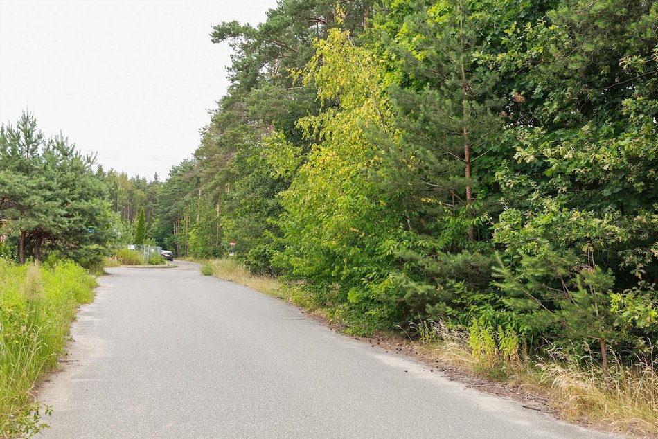 Łódź. Nowy park leśny w Łodzi! Mieszkańcy Dorabialskiej zyskali zieloną oazę!