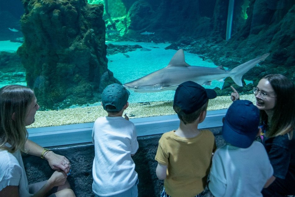 Łódź. Wakacyjne półkolonie w Orientarium Zoo Łódź i Aquaparku Fala w Łodzi. Tyle atrakcji, że głowa mała!