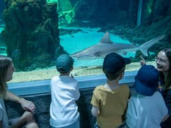 Łódź. Wakacyjne półkolonie w Orientarium Zoo Łódź i Aquaparku Fala w Łodzi. Tyle atrakcji, że głowa mała!