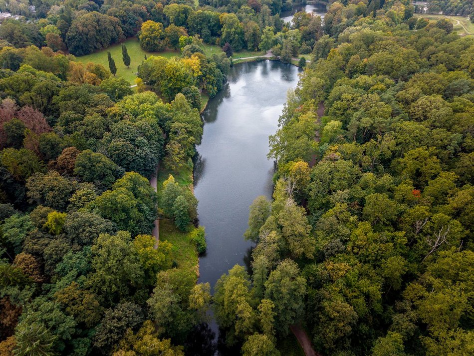 Łódź. Gdzie udać się na zimowy spacer w Łodzi? Las Łagiewnicki, Arturówek i więcej 