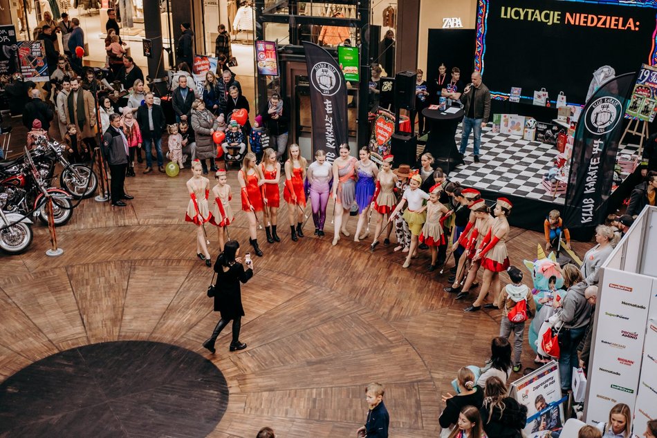 Łódź. WOŚP 2025 w Łodzi. Wioska Wikingów, pokazy taneczne i cosplay w Manufakturze