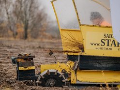 Nowe lasy w Łodzi - sadzenie drzew