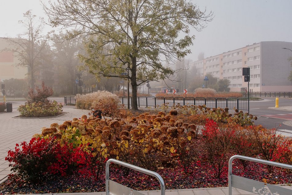 Rondo Vaclava Havla najpiękniejsze w Łodzi? Zobacz Teofilów w jesiennym wydaniu