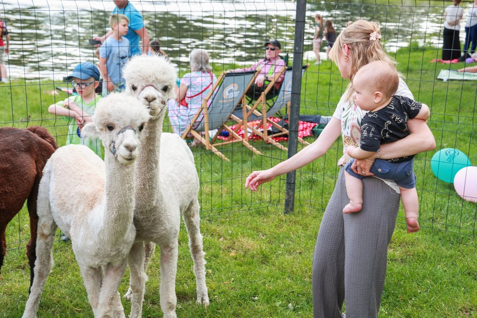 Łódź. Dzień Dziecka w parku na Młynku w Łodzi. Dmuchańce, alpaki i skutery wodne