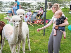 Łódź. Dzień Dziecka w parku na Młynku w Łodzi. Dmuchańce, alpaki i skutery wodne