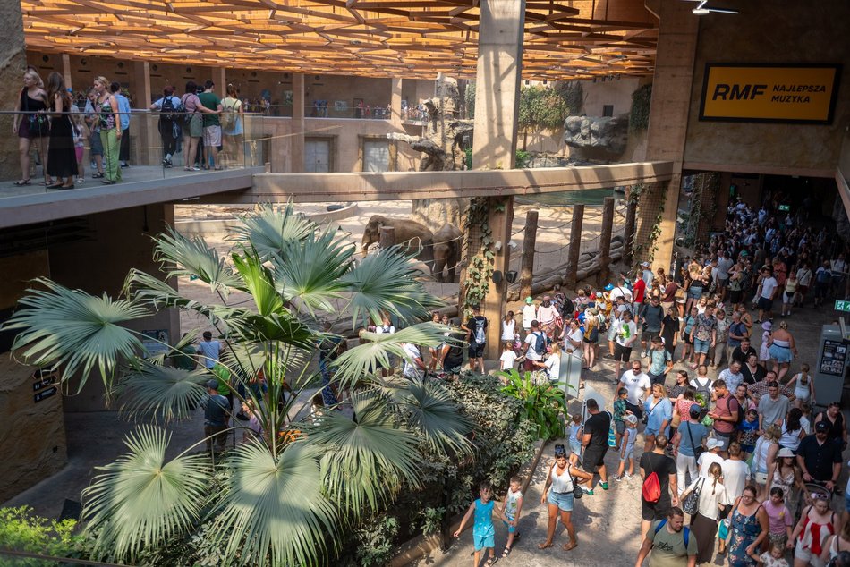 Łódź. Zielona Feta w Orientarium Zoo Łódź. Moc atrakcji na długi weekend