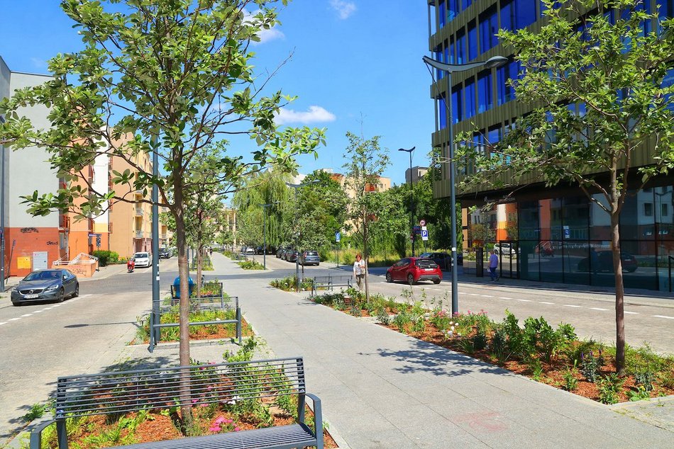 Łódź. Knychalskiego w Łodzi cała w zieleni! Nowe drzewa, kwiaty i rabaty