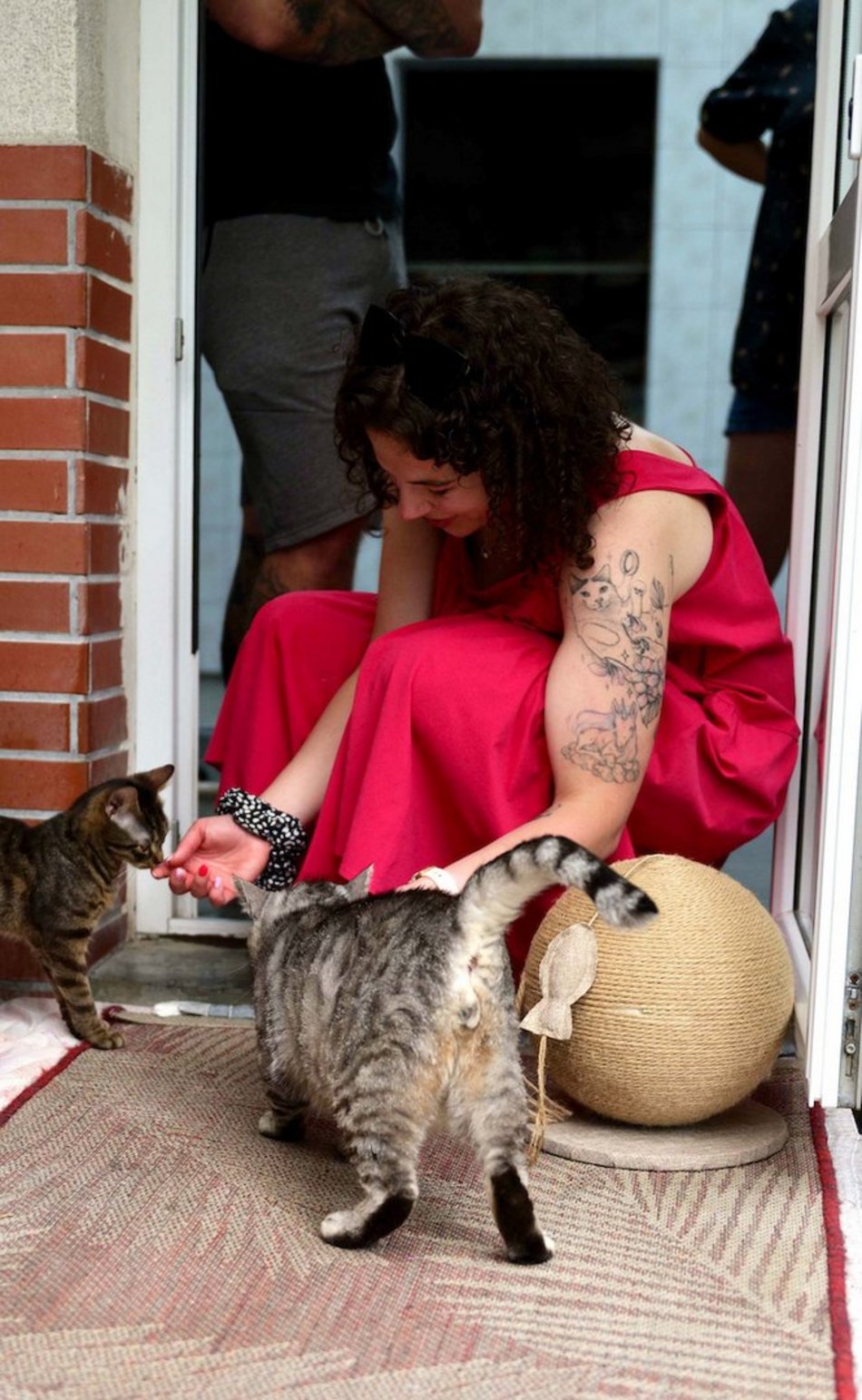 Łódź. Dom bez kota to głupota! Poznaj i adoptuj podopiecznych schroniska w Łodzi