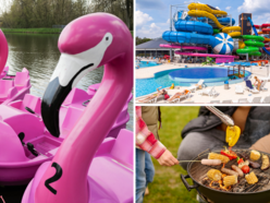 Długi weekend w Łodzi w parku i nad wodą - rowery wodne flamingi na Młynku, Aquapark Fala, grillowanie w plenerze