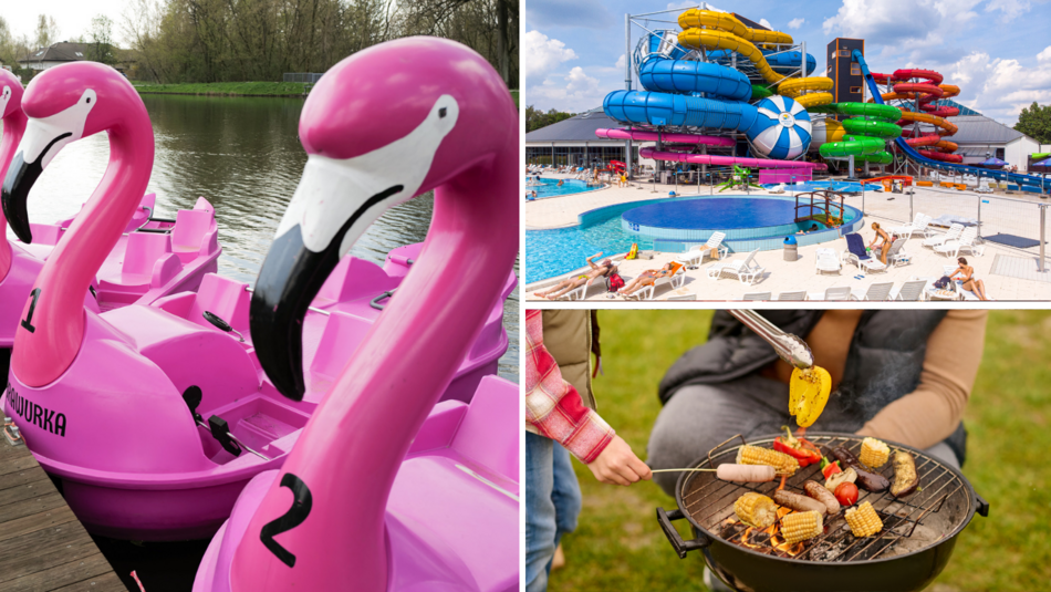 Długi weekend w Łodzi w parku i nad wodą - rowery wodne flamingi na Młynku, Aquapark Fala, grillowanie w plenerze