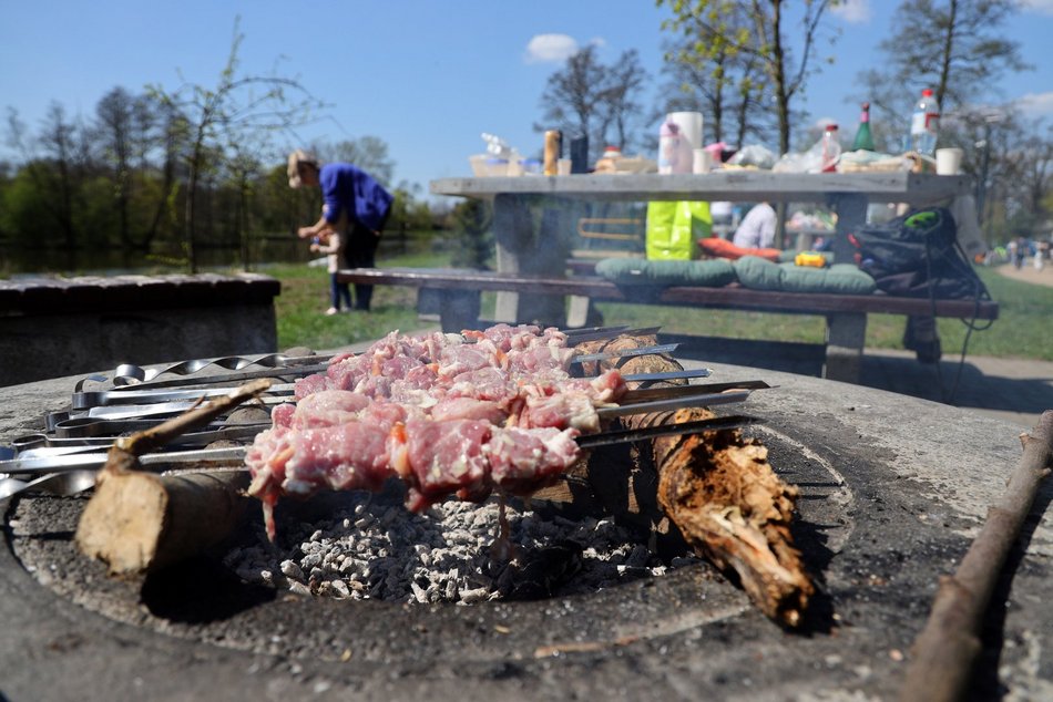 Gdzie grillować w Łodzi? Majówka z bliskim na łonie natury