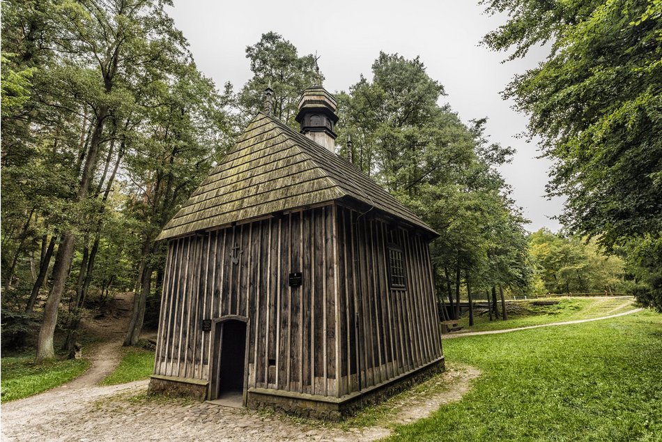Las Łagiewnicki w Łodzi jesienią