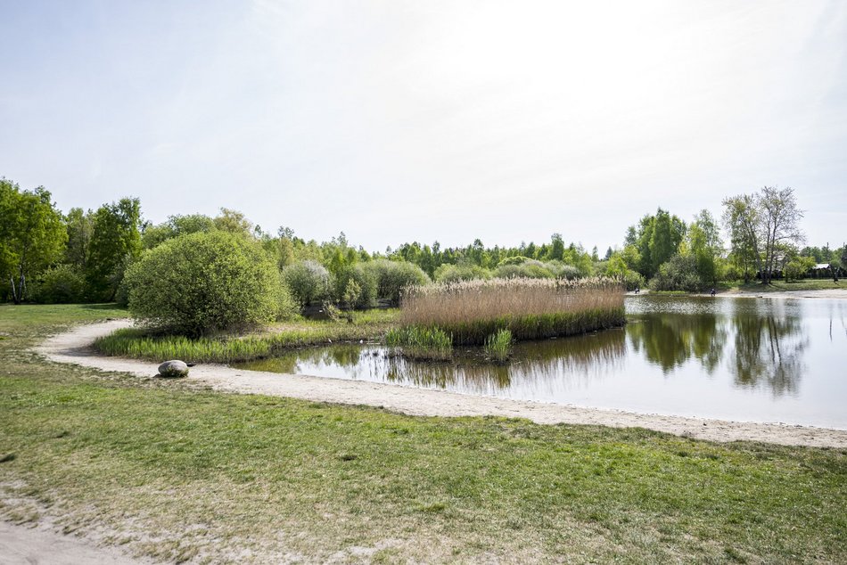 Łódź. Lublinek w Łodzi zmienia się nie do poznania. Właśnie powstało tam miejsce piknikowe
