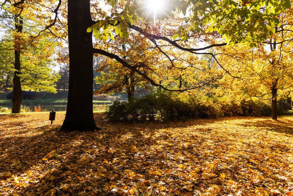 Łódź. Park Helenów w Łodzi w jesiennej odsłonie. Spacer w tym miejscu to czysta przyjemność