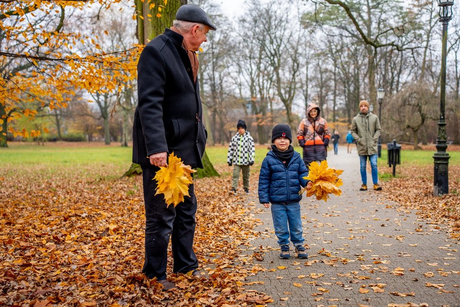 Łódź. Jesień w parku Źródliska