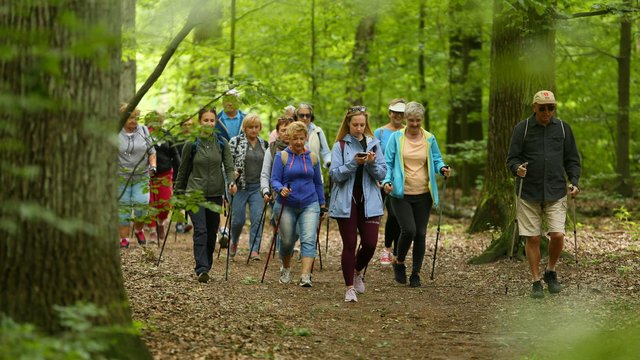 Maraton Na Raty Nordic Walking w Łodzi. Zabierz kijki i podejmij wyzwanie!