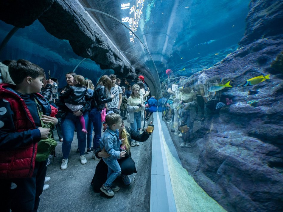 Nocne zwiedzanie Orientarium Zoo Łódź