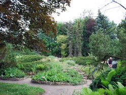 Arboretrum w Rogowie