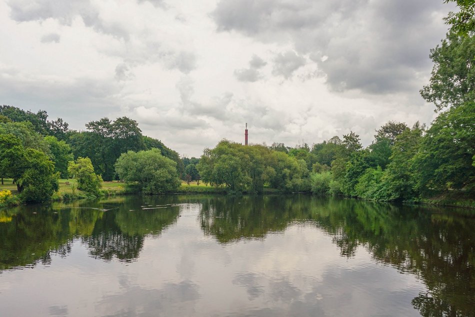 Gdzie grillować w Łodzi? Majówka z bliskim na łonie natury