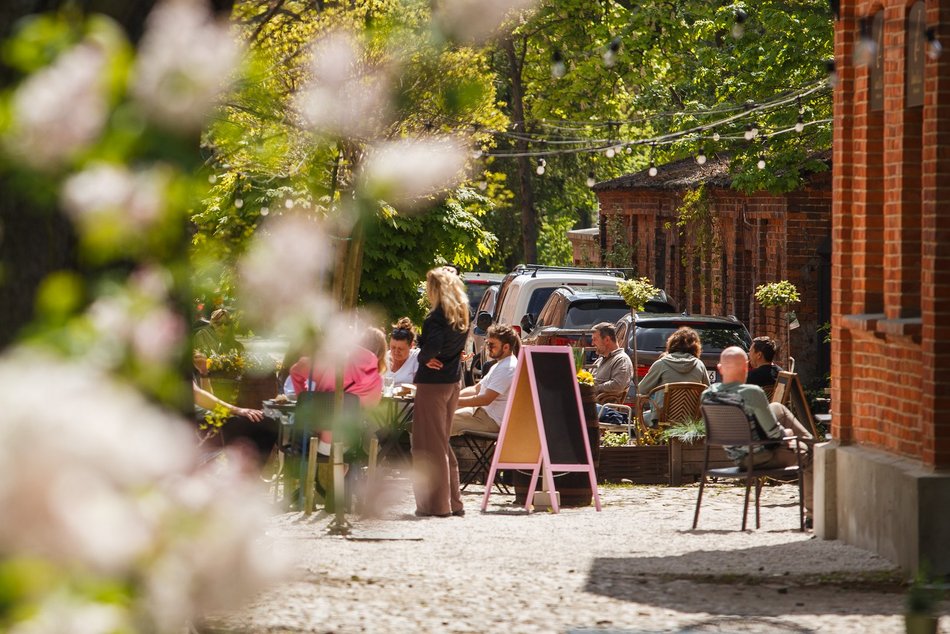 Bieg Ulicą Piotrkowską Rossmann Run 2025 w pigułce