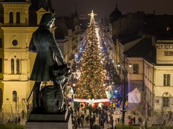 Choinka na placu Wolności w Łodzi