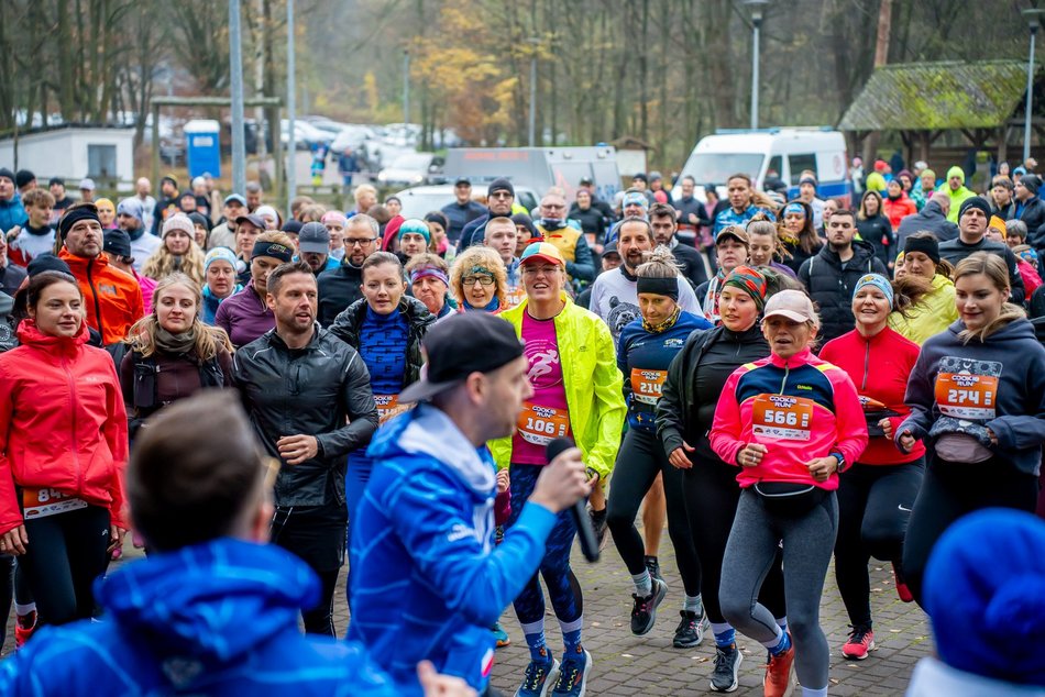 Cookie Run w Lesie Łagiewnickim w Łodzi