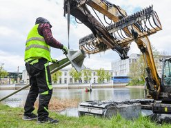 Łódź. Wielki powrót fontanny do Parku Reymonta w Łodzi! Dlaczego wcześniej zniknęła?